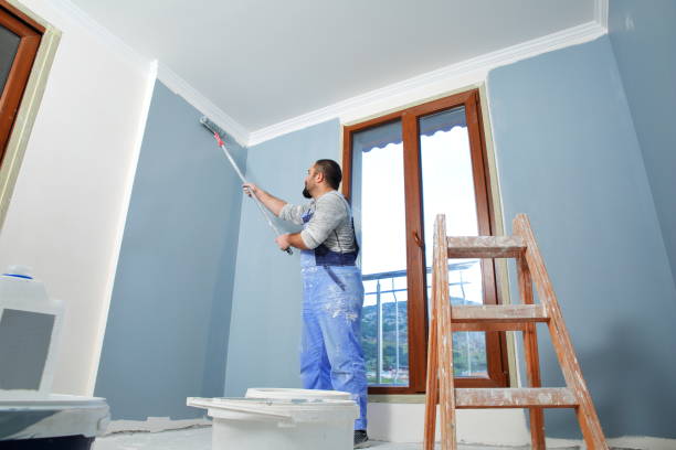 Professional Mold Removal in Eveleth, MN
