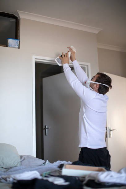 Best Residential Mold Inspection & Testing  in Eveleth, MN