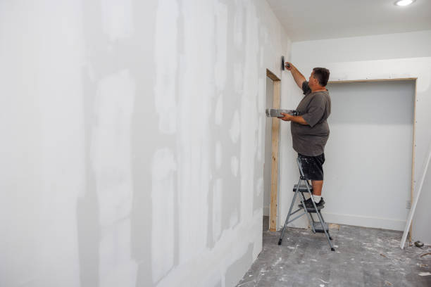 Best Mold Removal for HVAC Installations  in Eveleth, MN