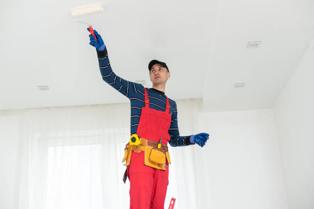 Best Mold Remediation for Healthcare Facilities  in Eveleth, MN