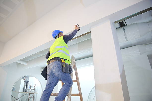 Best Forensic Mold Investigation  in Eveleth, MN