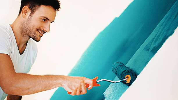 Eveleth, MN Mold Removal Pros