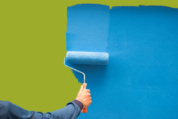Best Mold Documentation for Insurance Claims  in Eveleth, MN